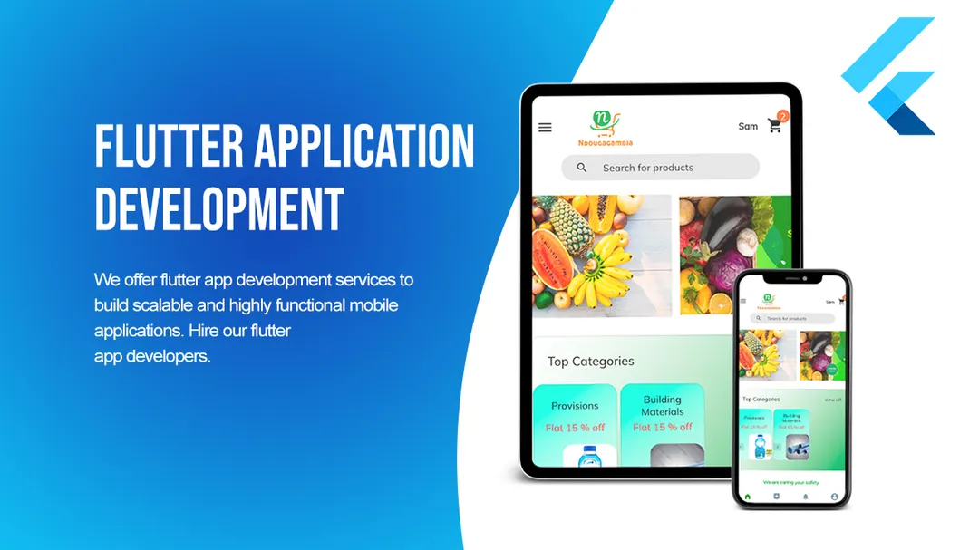 flutter app development